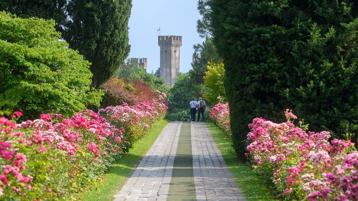 Il Viale delle rose