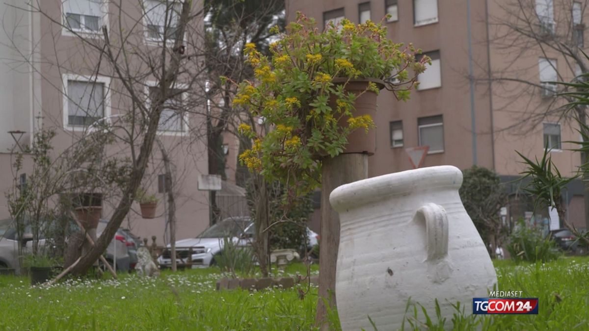 12.30 SAN BASILIO FONDAZIONE CARLI