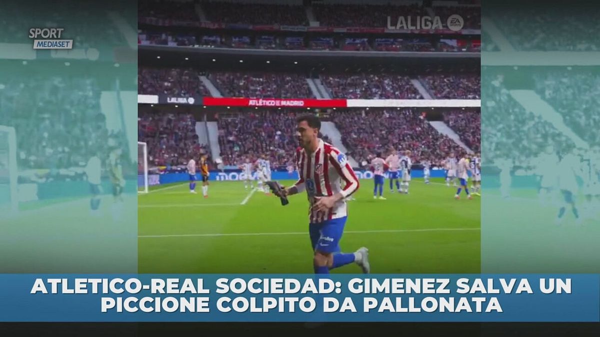 Gimenez salva piccione colpito da pallonata