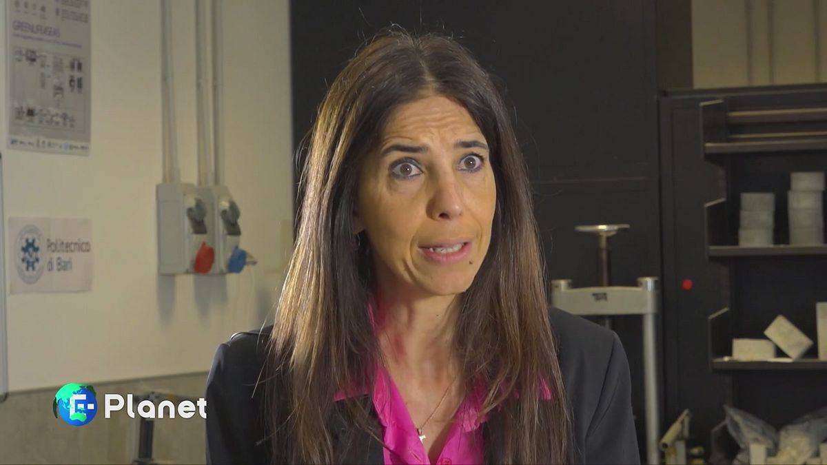 Cozze: dai gusci al cemento