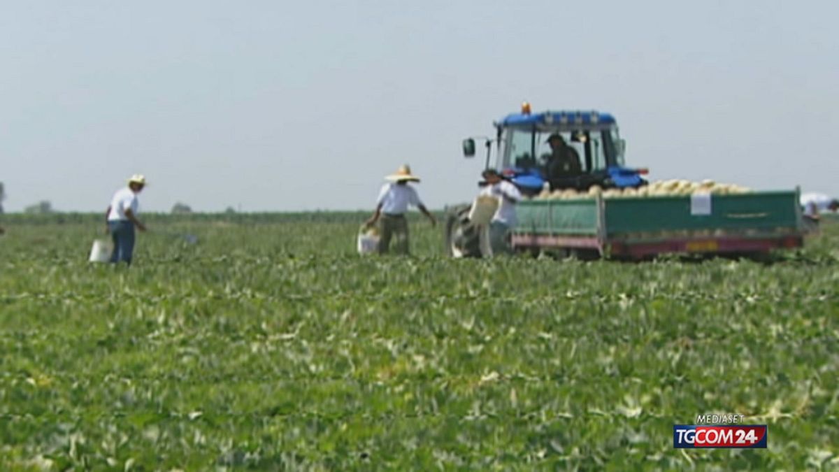 12.00 NAPOLI, FALSI PERMESSI SRV