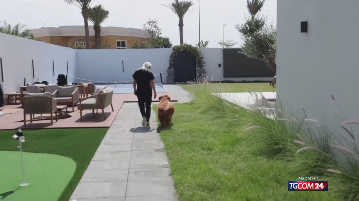 EMIRATI ANIMALI ABBANDONATI X SITO SRV