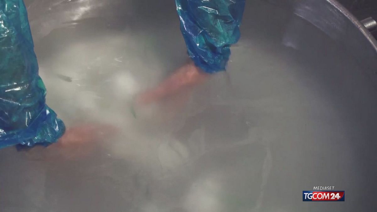 SRV BURRATA PER SITO SRV