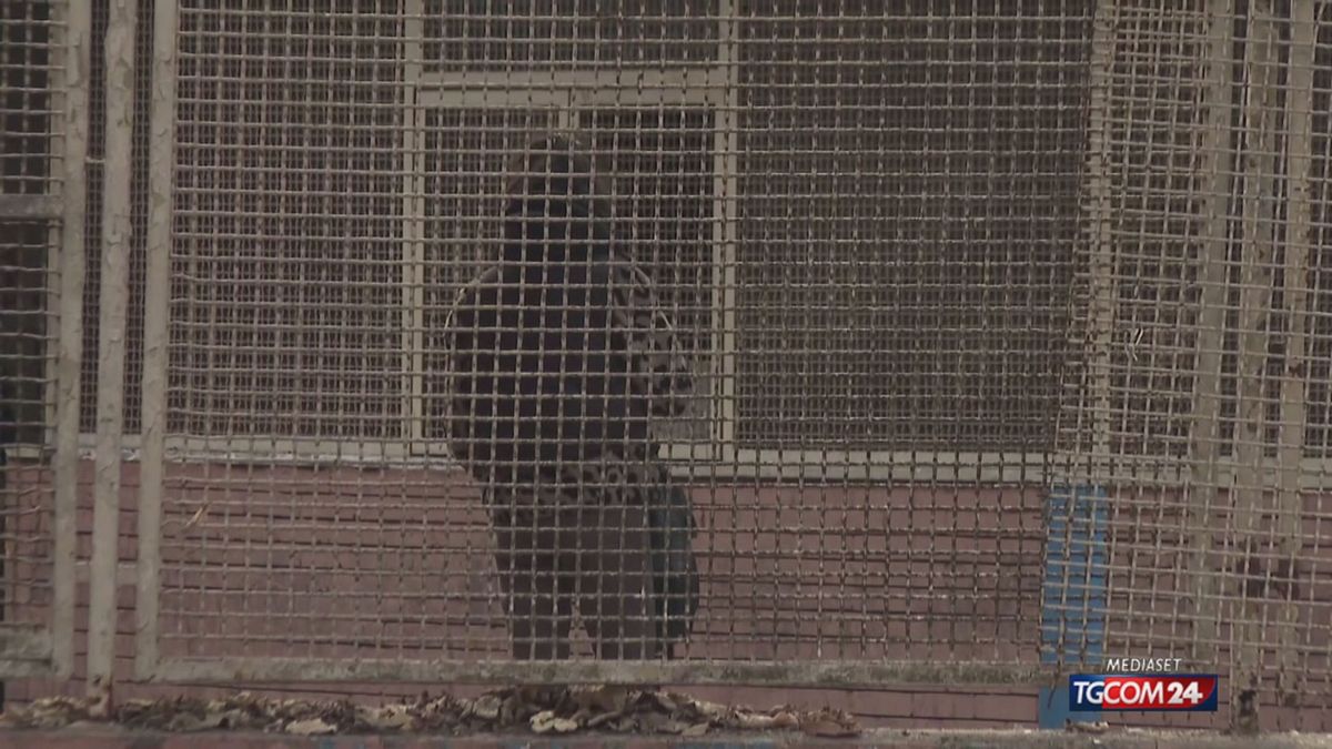 18.00 TORINO, EMERGENZA CRACK SRV