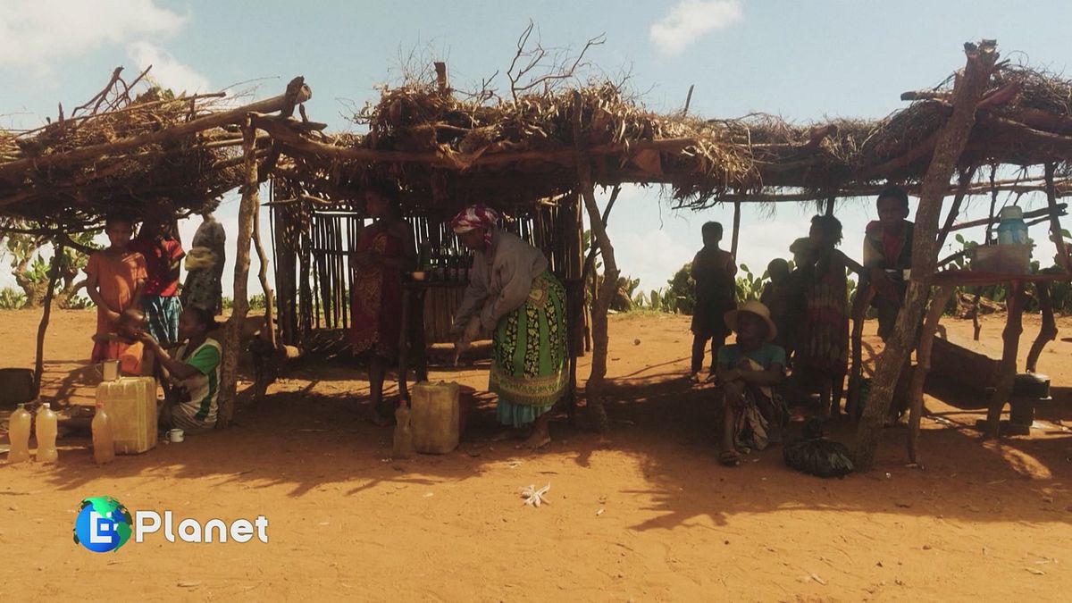 Africa, il big bang da 50 miliardi