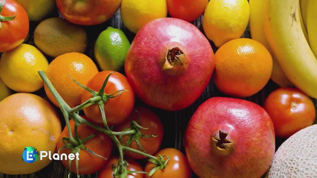 Puntata del 22 marzo