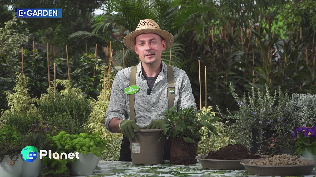 E-Garden: piante aromatiche
