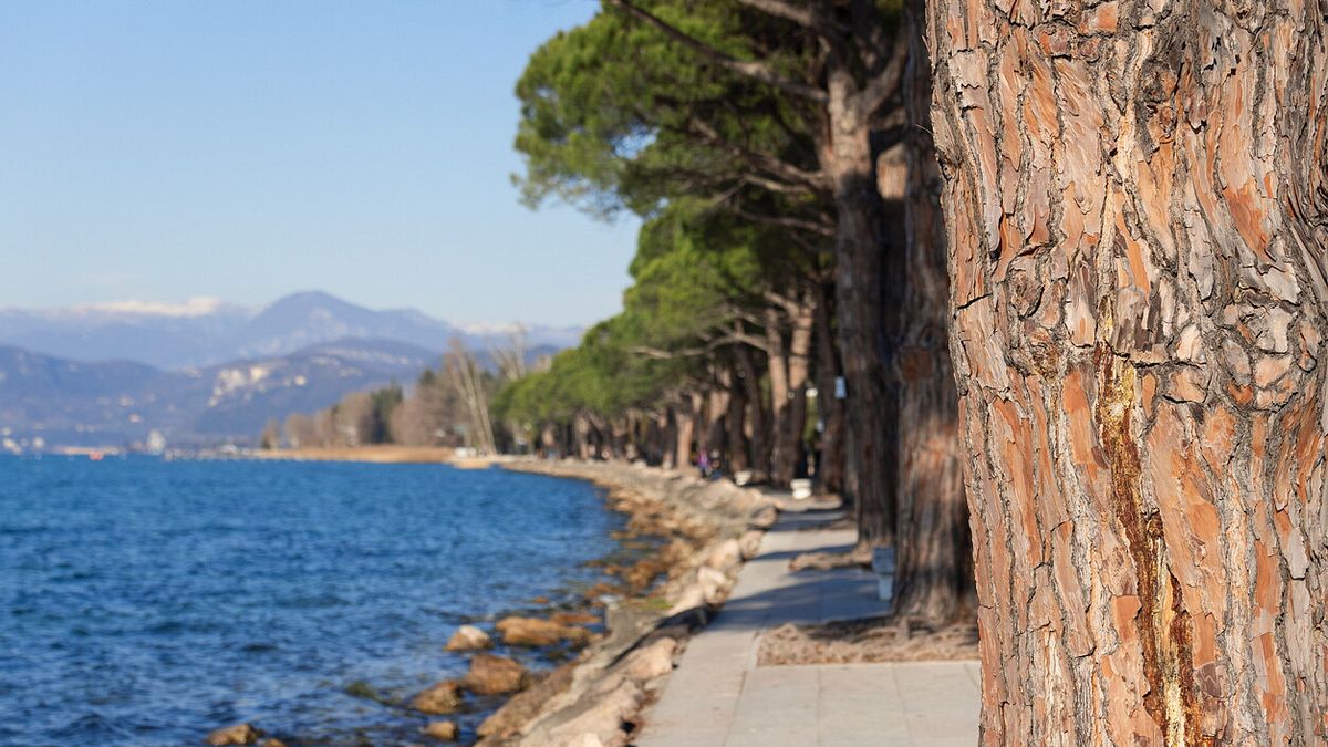  Cicolopedonale Bardolino-Lazise