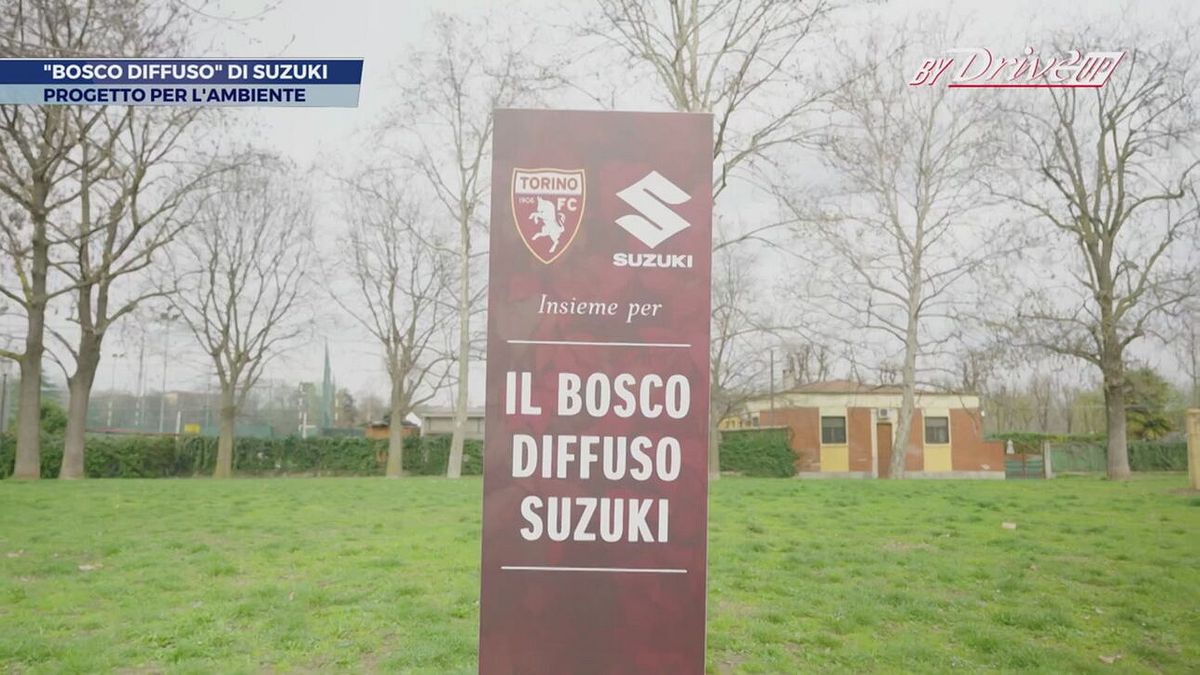 Il "Bosco Diffuso" di Suzuki
