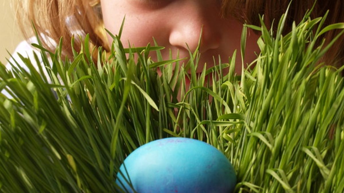 La caccia alle uova: i bambini si divertiranno a rimediare al dispetto del coniglietto pasquale