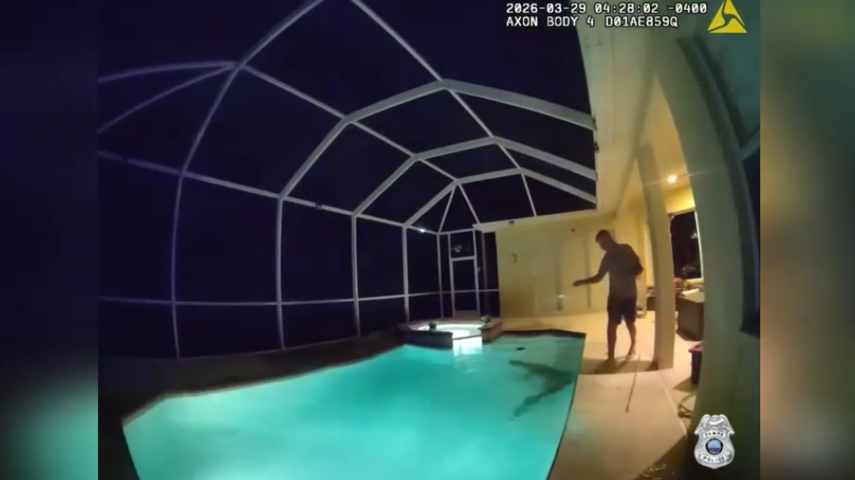 Un alligatore fa il bagno... in una piscina privata