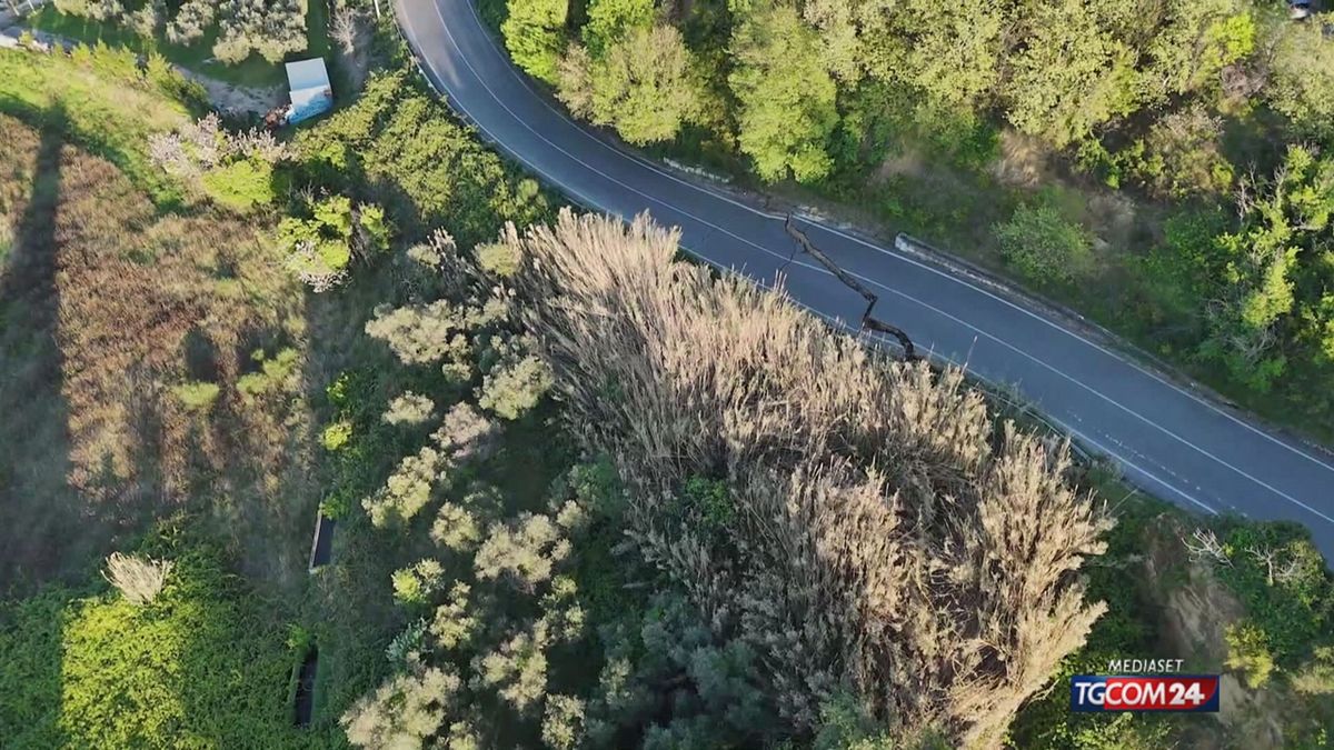 FRANA PETACCIATO X SITO SRV