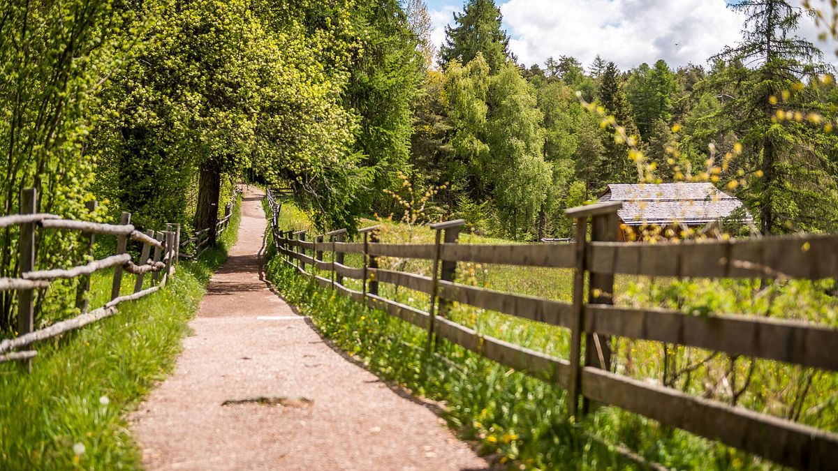 Freud Promenade Foto: Tourismusverein Ritten, Achim Meurer