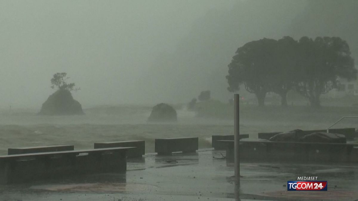 ciclone nuova zelanda per sito SRV