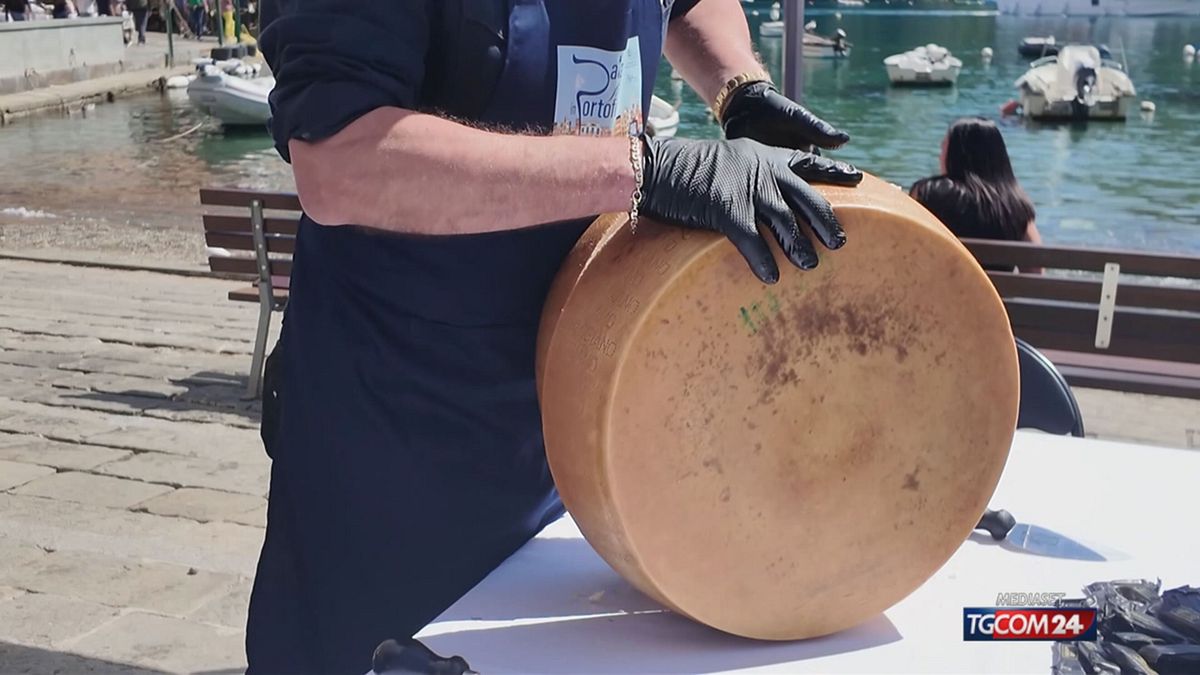 portofino per sito SRV