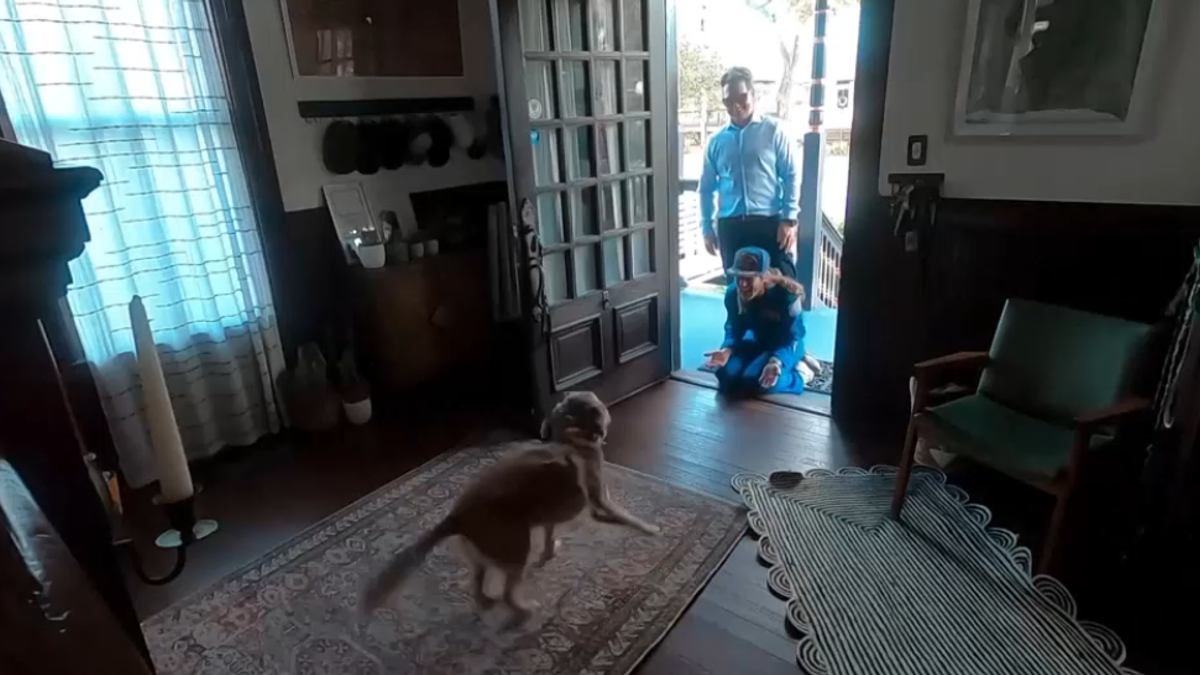 L'astronauta torna a casa: la festa del cane Sadie fa impazzire il web