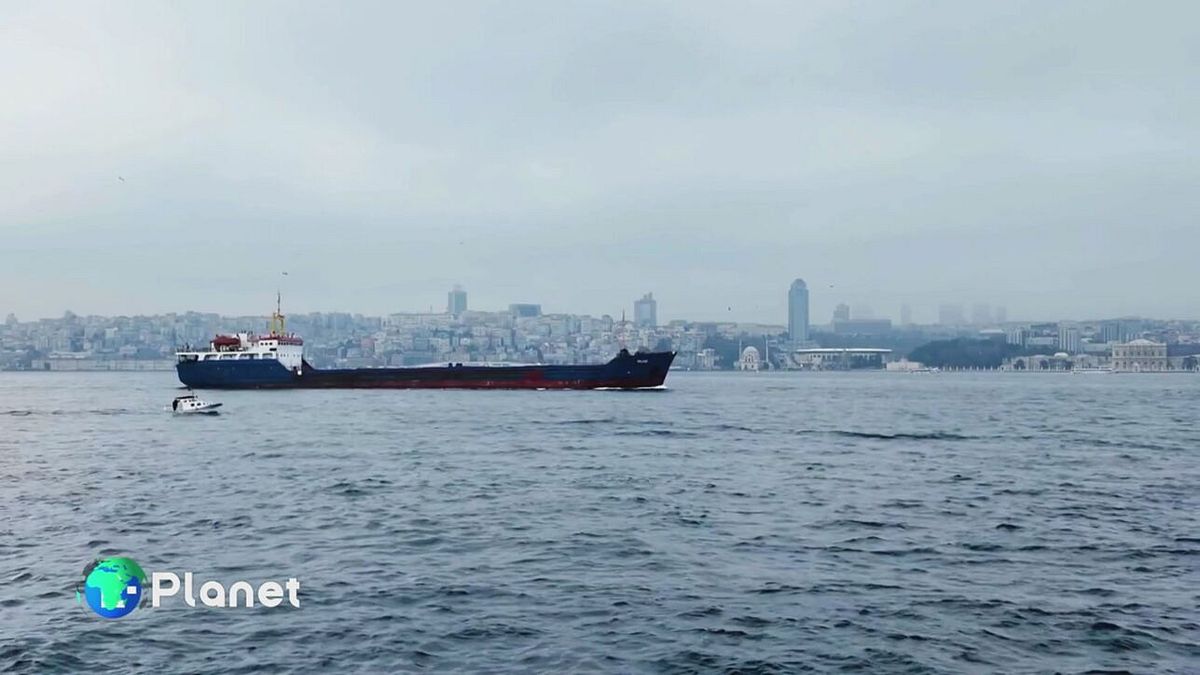 Puntata del 12 aprile