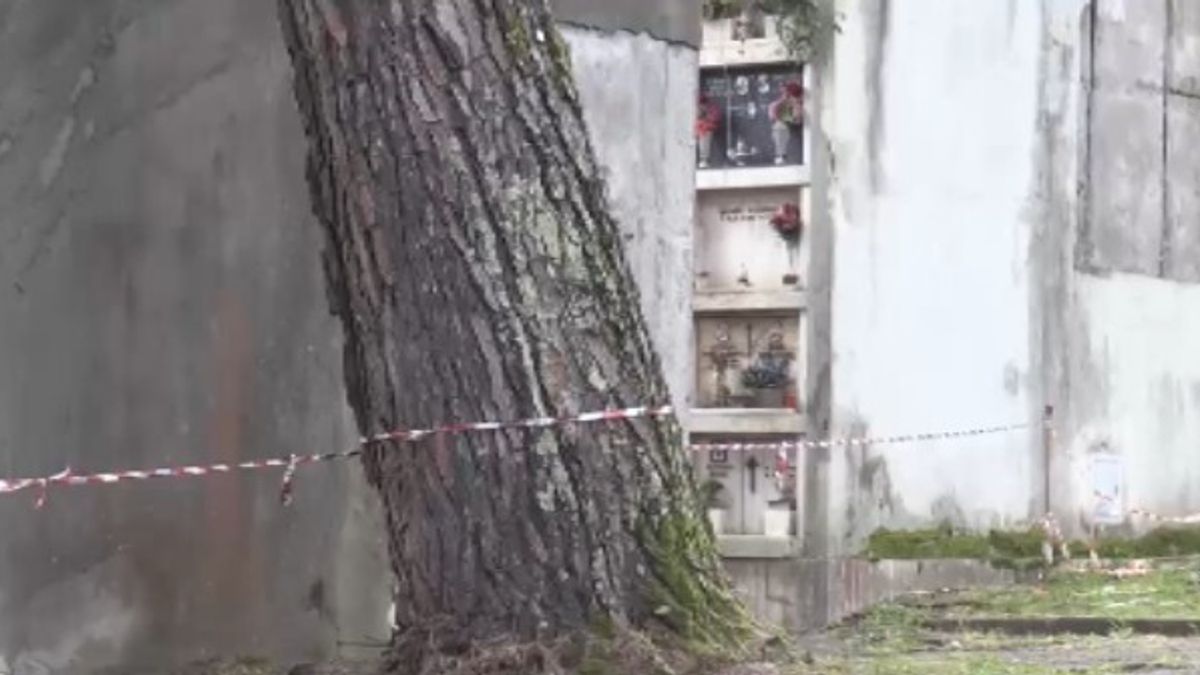 Roma, viaggio nell'incuria al cimitero Flaminio