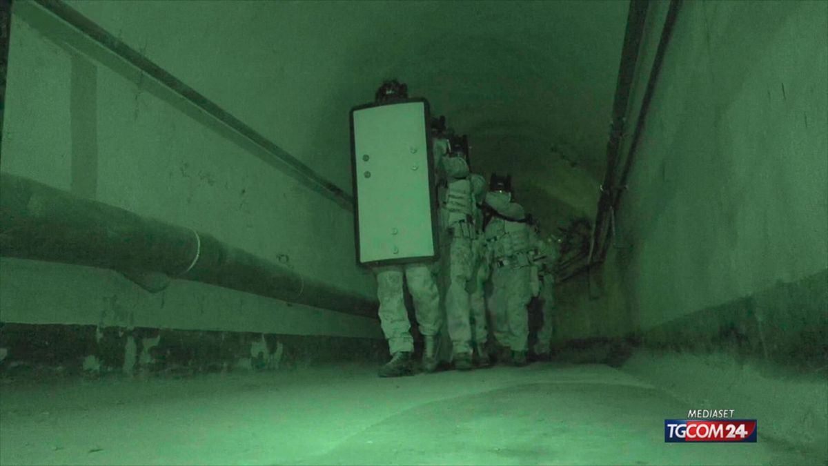 ADDESTRAMENTO CERBERO 2026 SRV