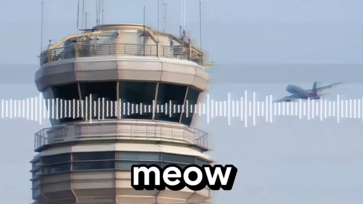 Washington, "meow meow" piloti comunicano tra loro... miagolando