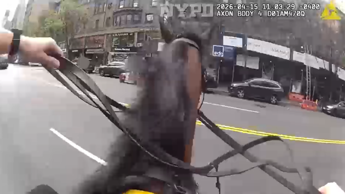 New York, poliziotto a cavallo ferma un ladro tra traffico e passanti