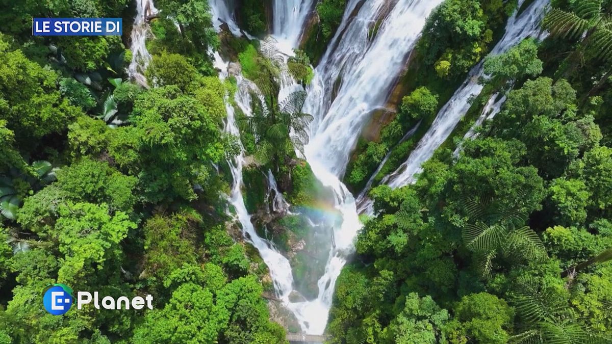 Le Storie di: La Giornata della Terra