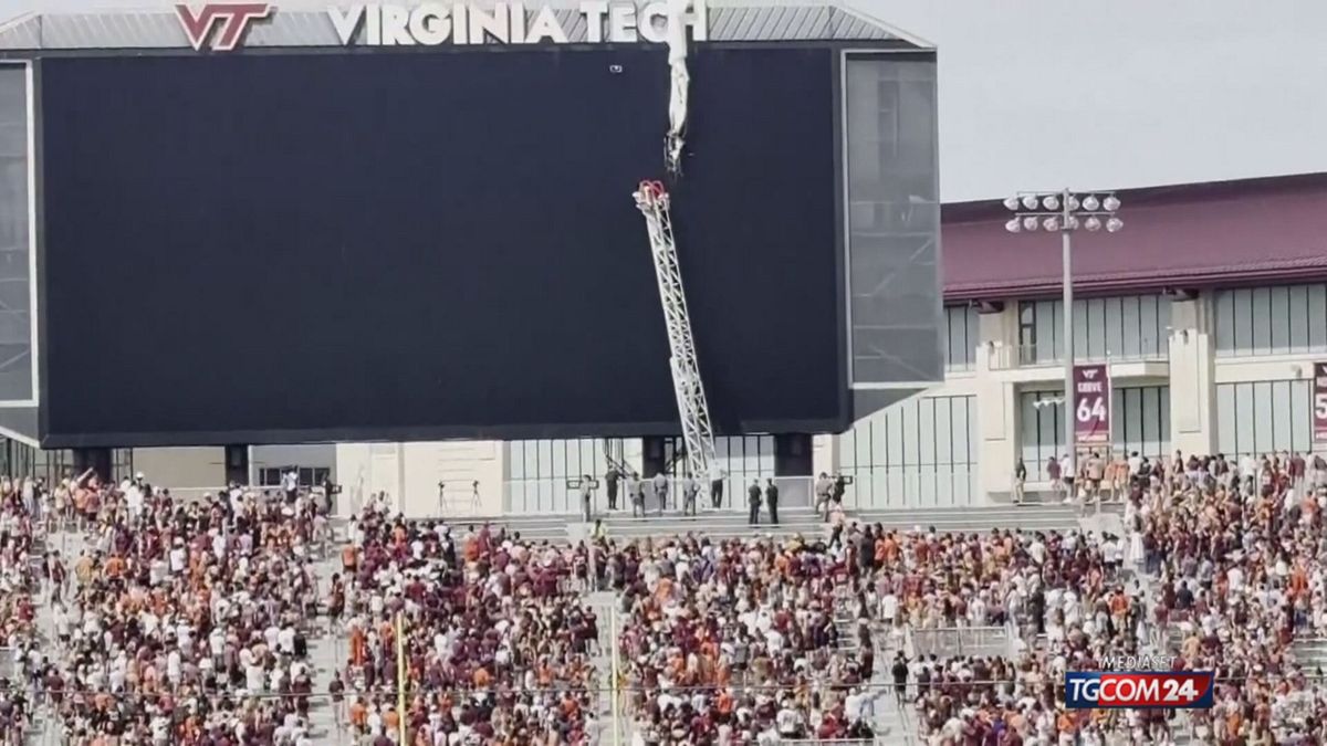 VIRGINIA PER SITO SRV