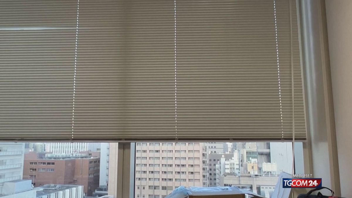 terremoto tokyo per sito SRV