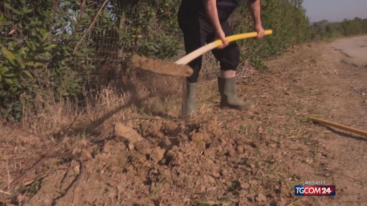 18.00 PARROCO RIPARA LE STRADE SRV
