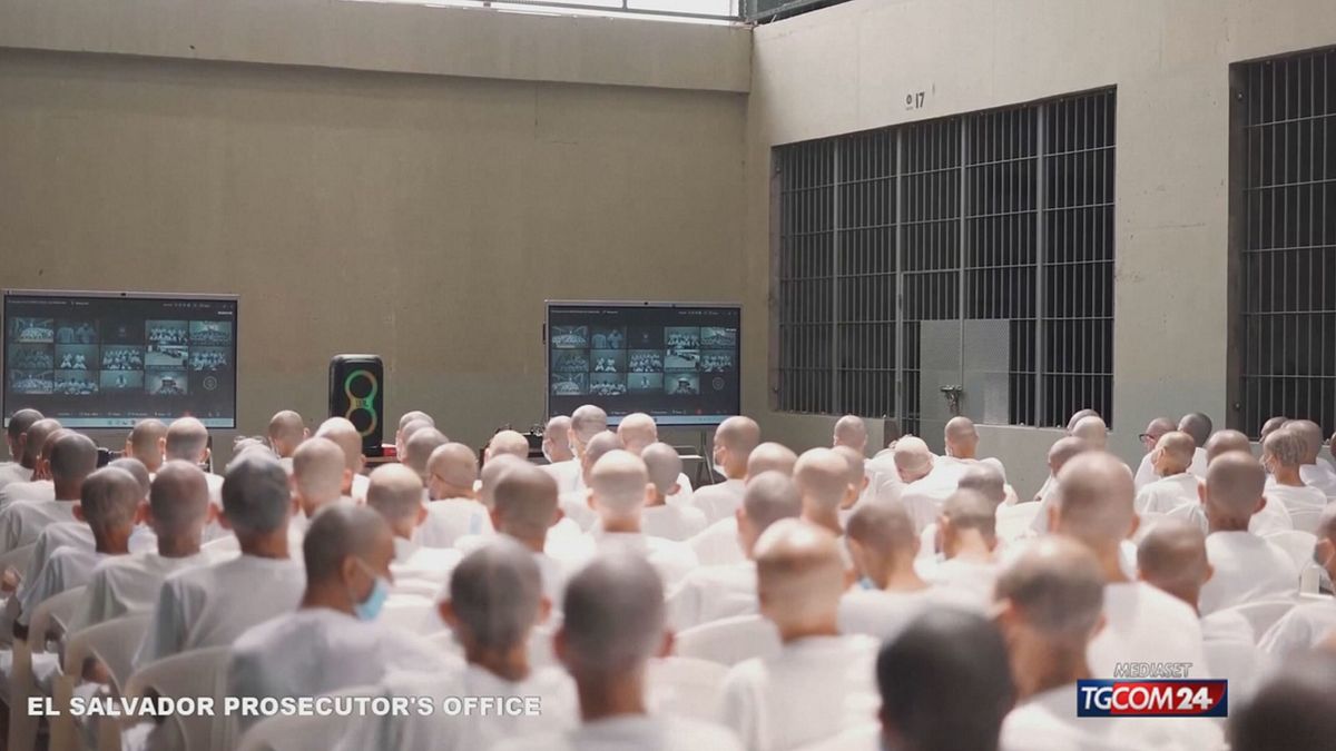 MAXIPROCESSO MS13 X SITO SRV