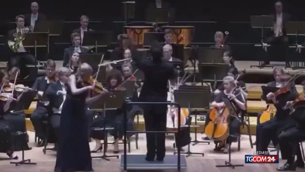 VIOLINO CHE VOLA X SITO SRV