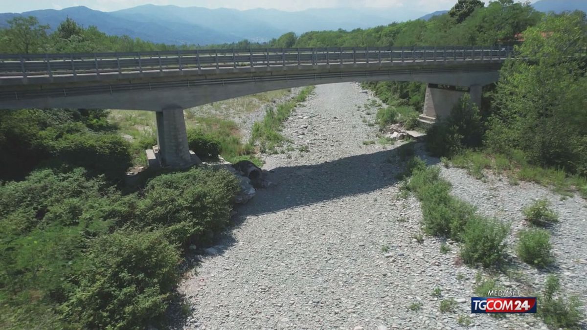 12.00 ALLERGIE PROLUNGATE SRV