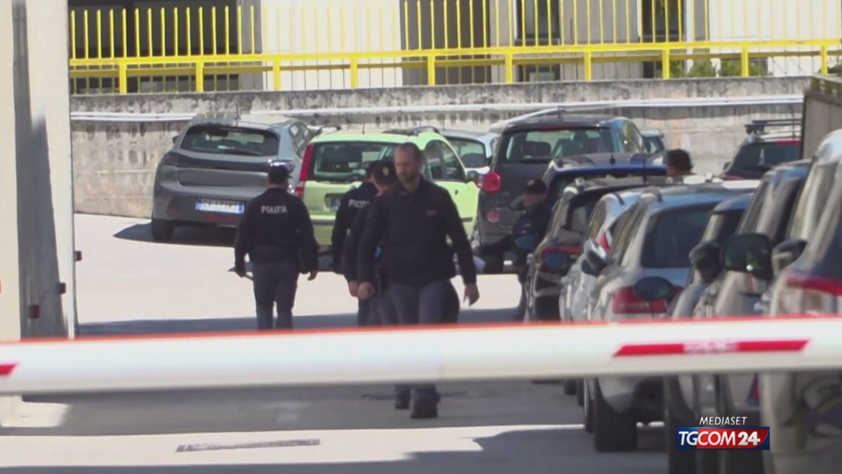 GIALLO RICINO OK - sito SRV