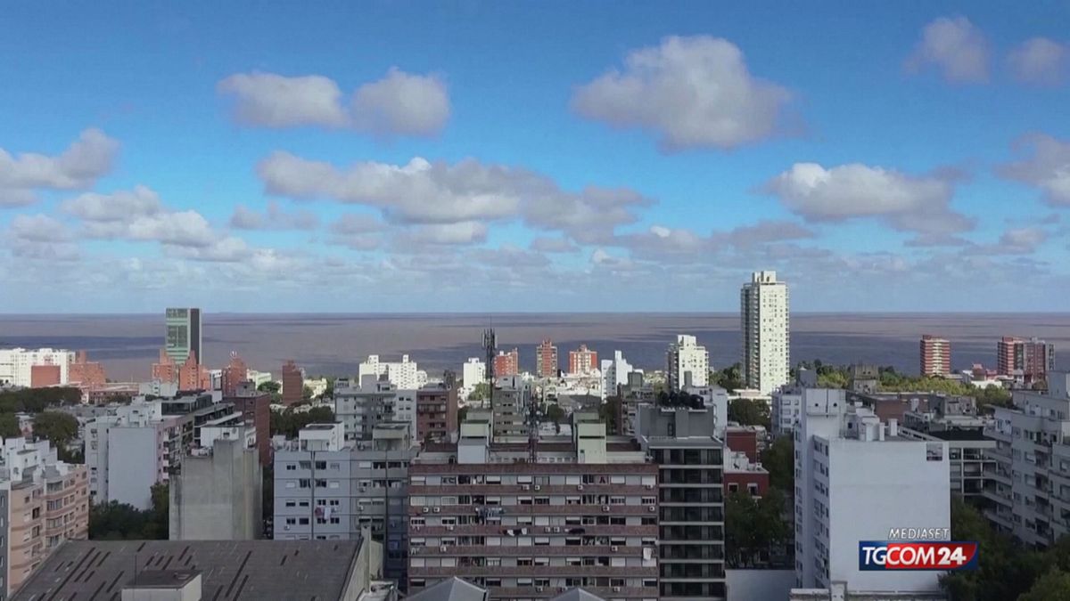 18.00 IL CASO MINETTI: SVILUPPI SRV