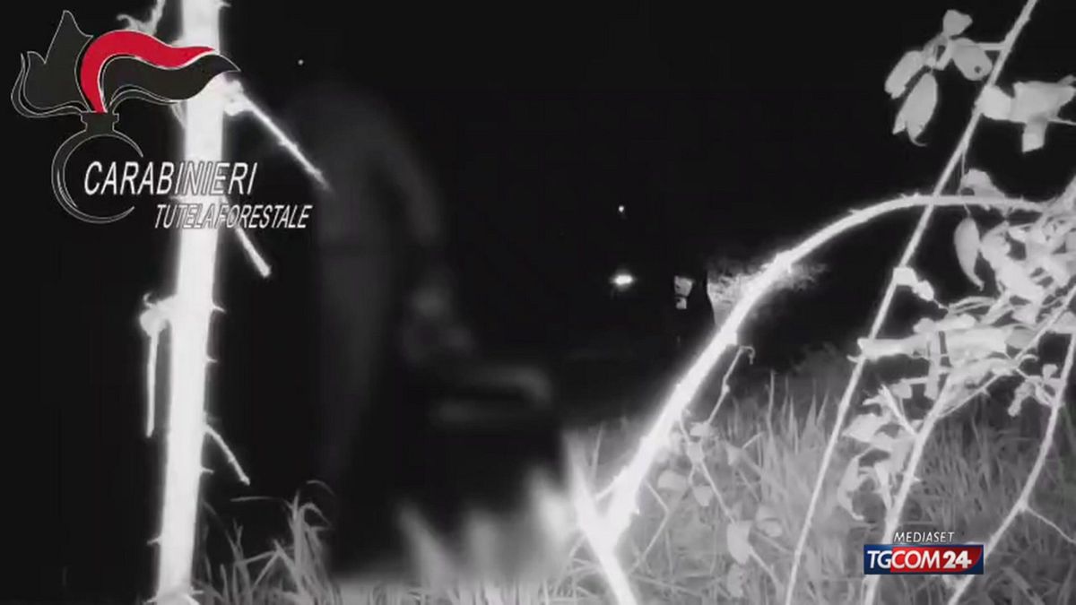 CARABINIERI RIFIUTI SRV