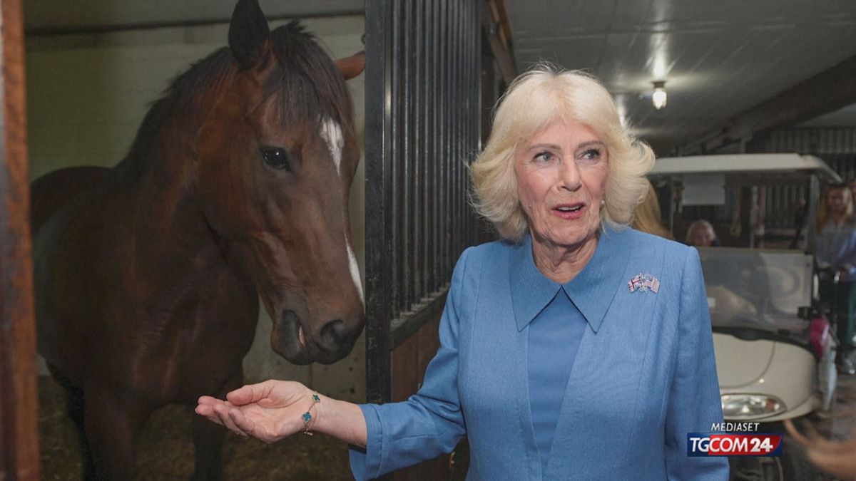 CAMILLA CON  ICAVALLI PER SITO SRV