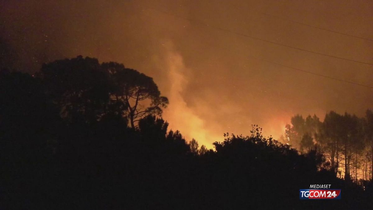 INCENDIO TOSCANA SITO SRV