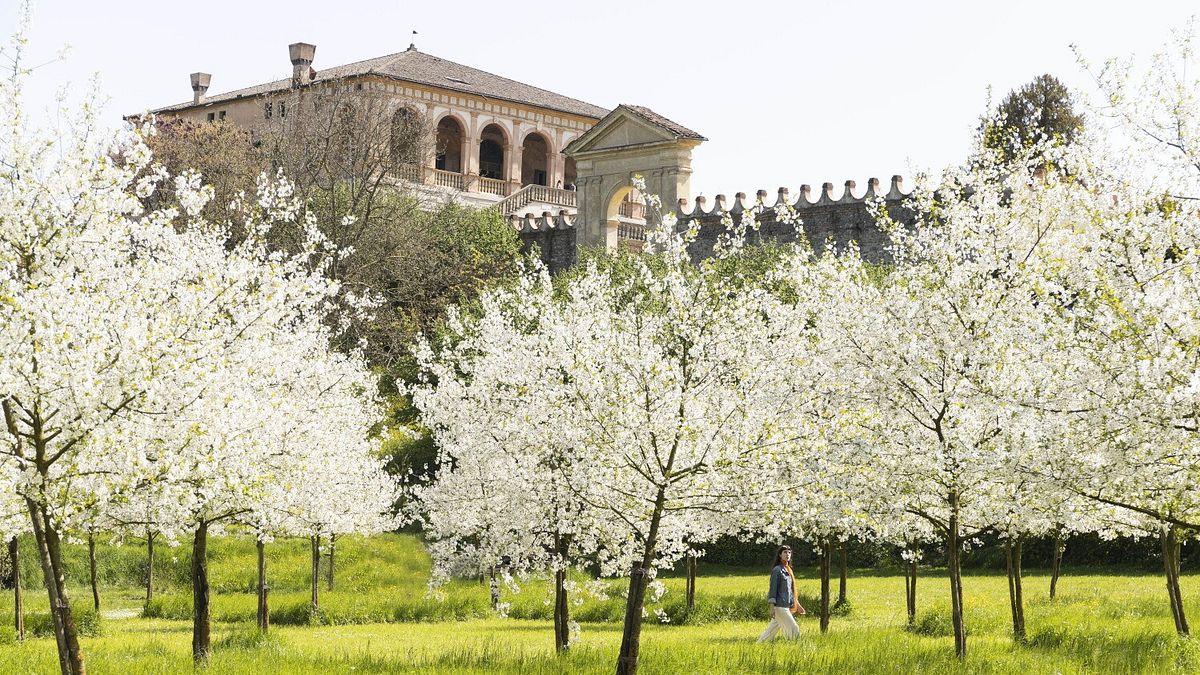 Villa dei Vescovi, Luvigliano di Torreglia (PD) Foto: Lorenzo Cicconi Massi (C) FAI