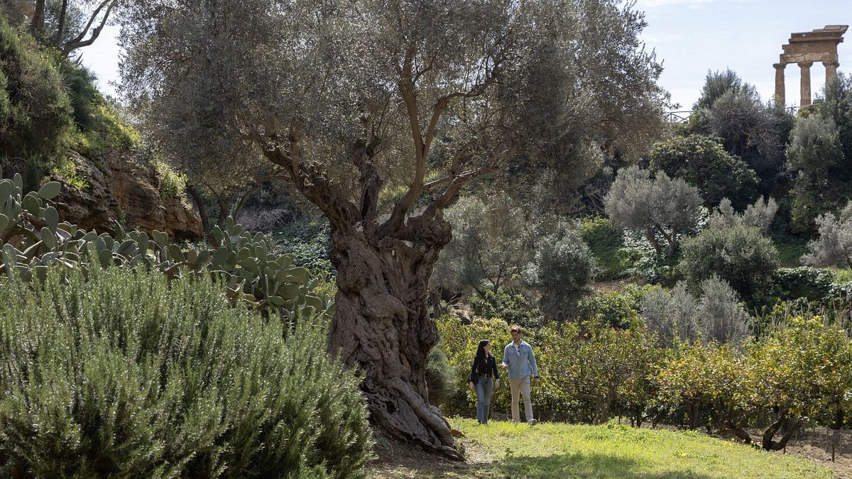   Giardino della Kolymbethra, Parco Valle dei Templi (AG). Foto: Barbara Verduci   (C) FAI
