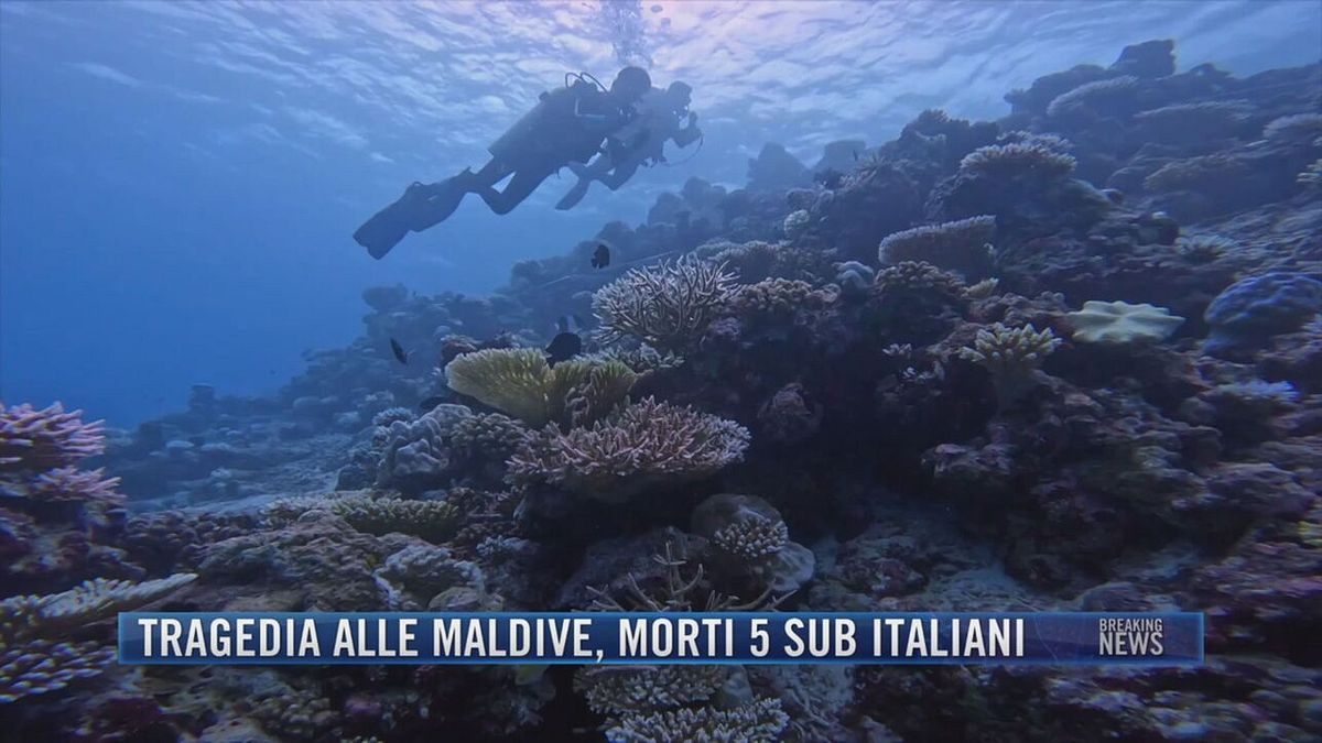 Breaking News delle 21.30 | Tragedia alle Maldive, morti 5 sub italiani