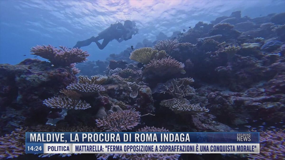 Breaking News delle 14.00 | Maldive, la Procura di Roma indaga