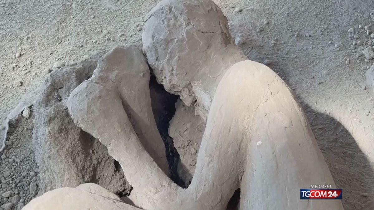 POMPEI E IL MEDICO  x sito SRV