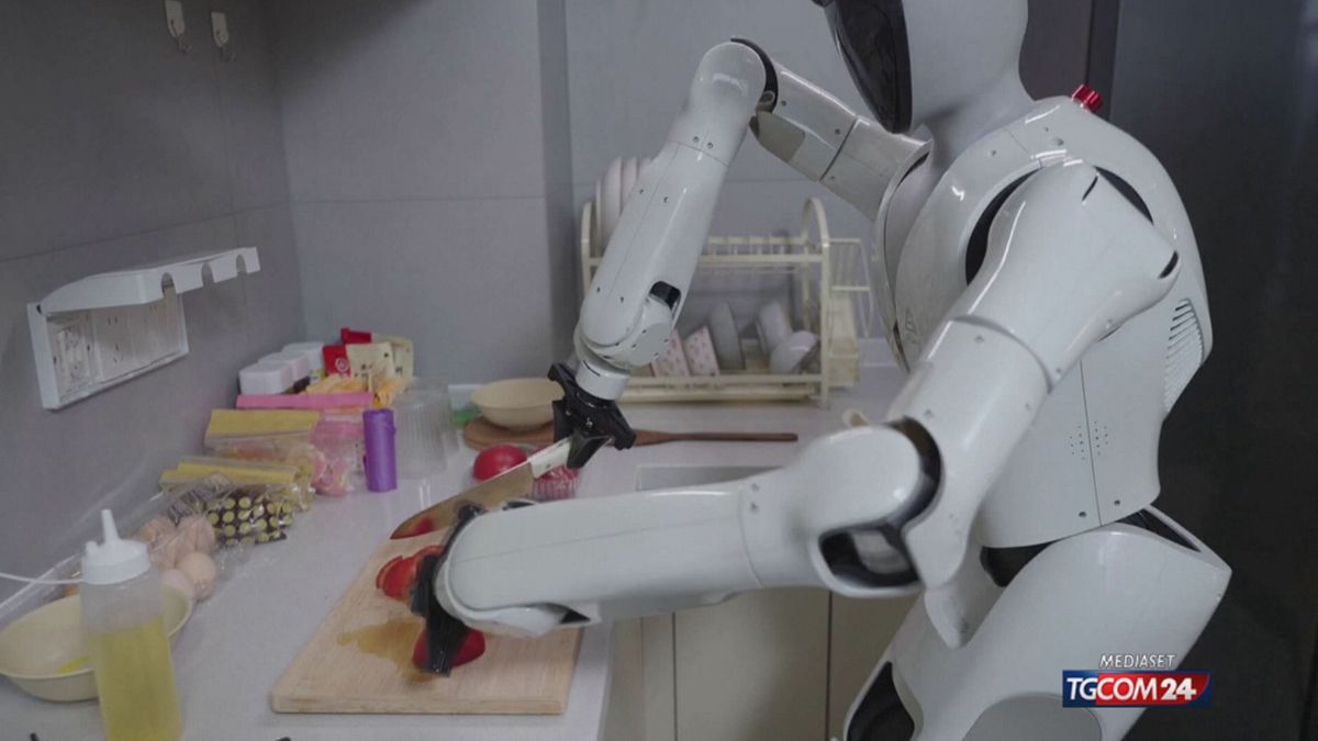 ROBOT CINESE CASALINGO X SITO SRV