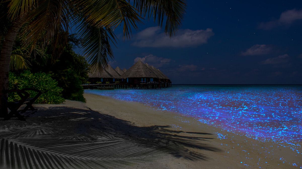  Isola di Vaadhoo, Maldive