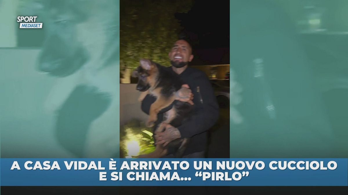 Il cucciolo di Vidal si chiama… Pirlo