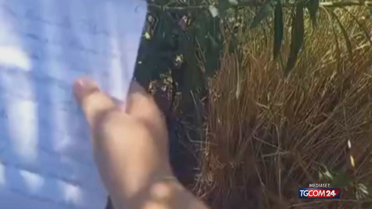 FILICUDI APPELLO MELONI X SITO SRV