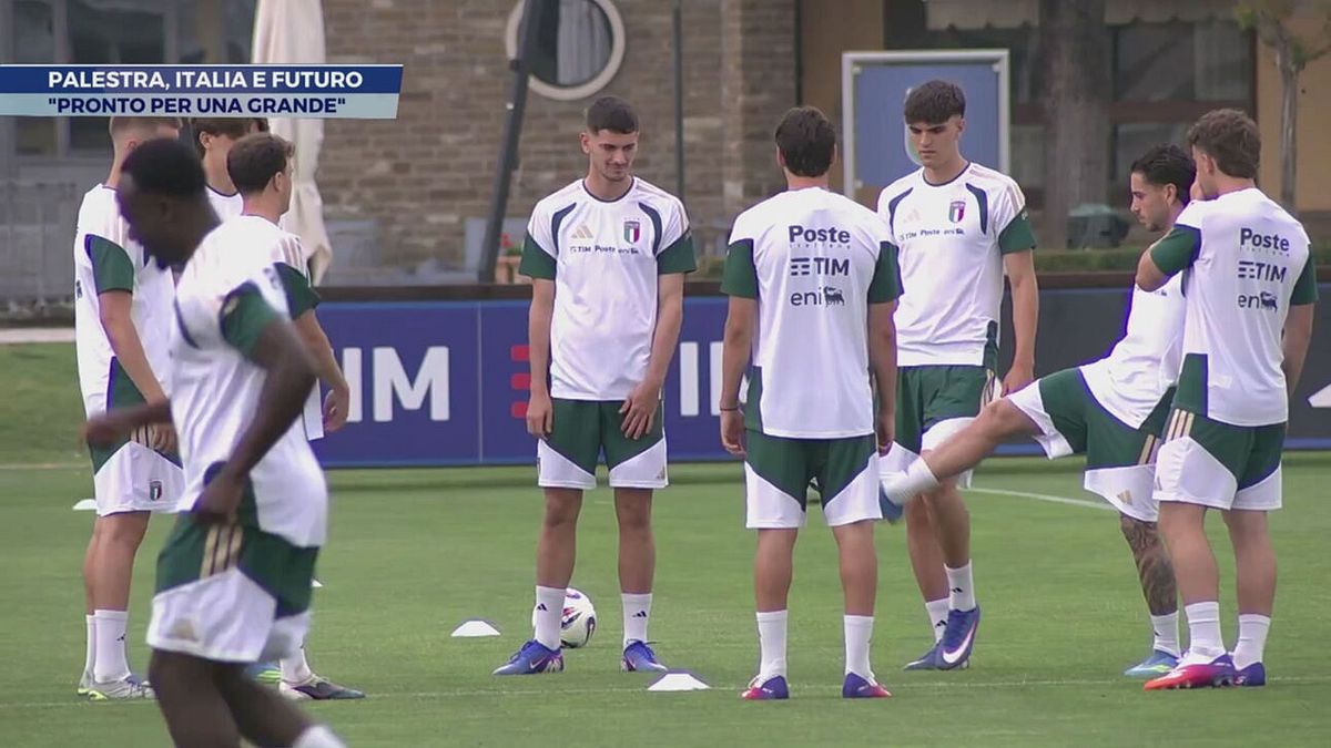 Palestra, Italia e futuro