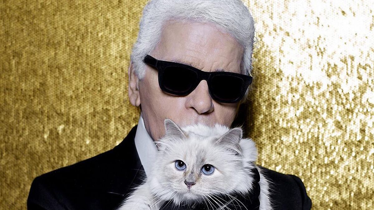 Karl Lagerfeld e l'amore per la gatta Choupette