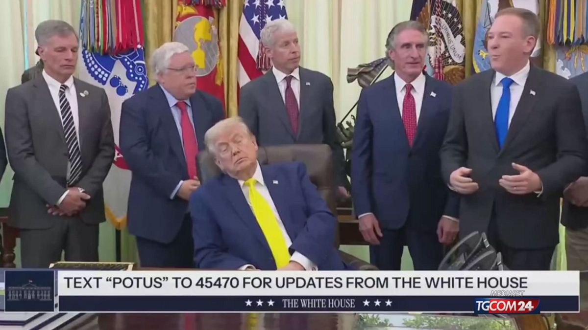 TRUMP X SITO SRV