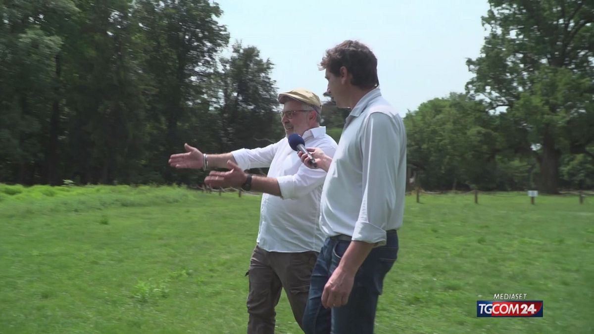 18.00 PARCO DI MONZA, CAOS E INCIVILTA' SRV
